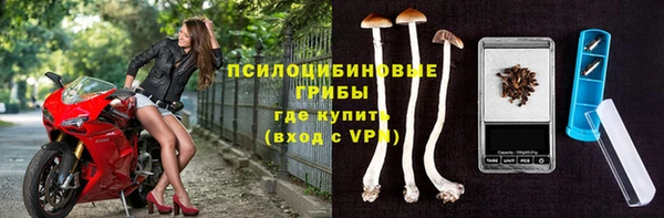 сатива Алексеевка