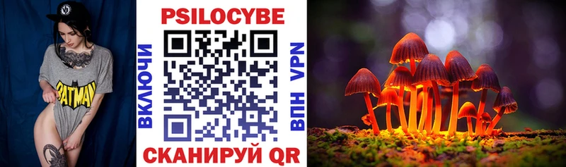 Псилоцибиновые грибы Cubensis  Новомичуринск 